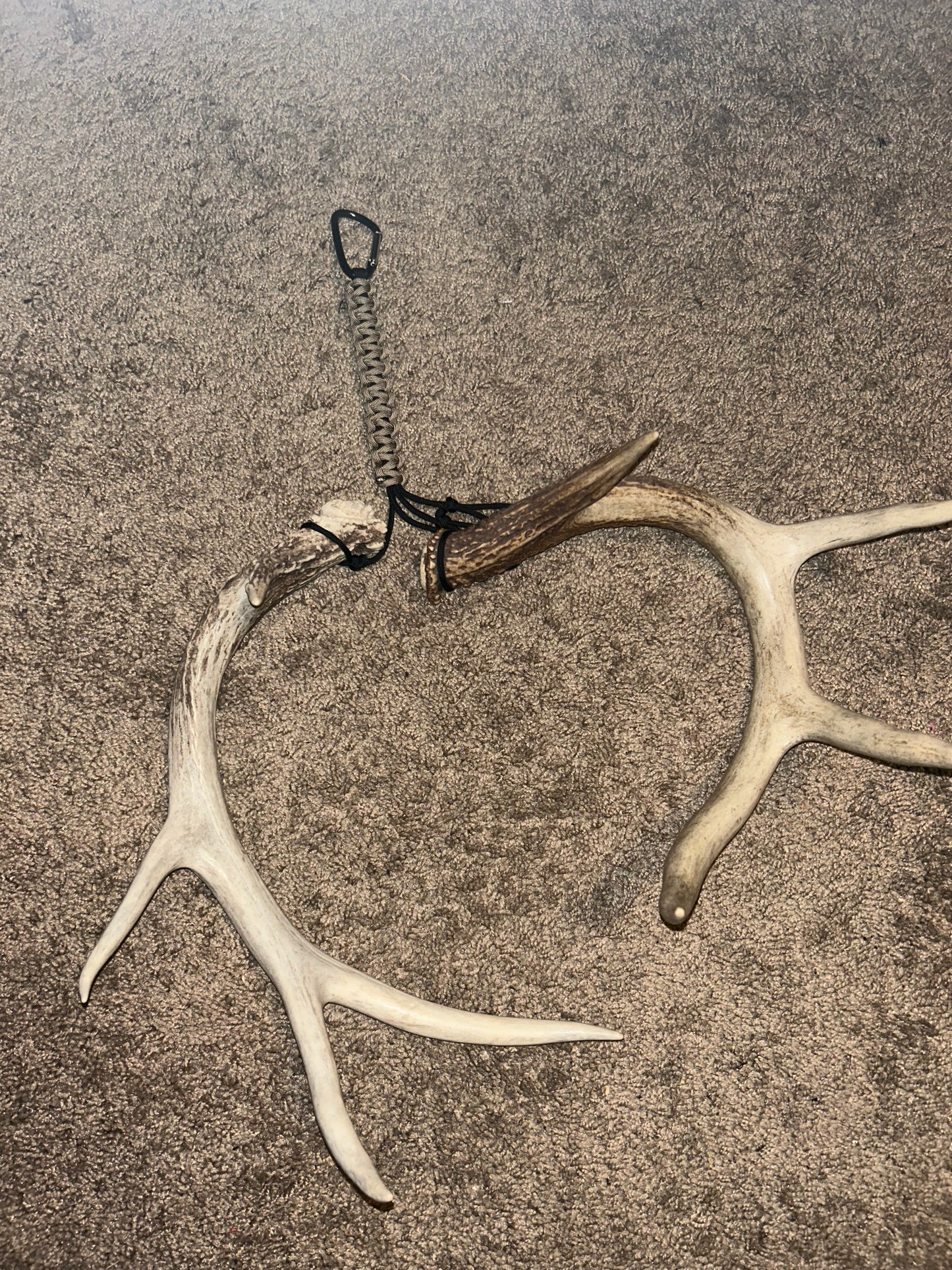 Small Game Sling